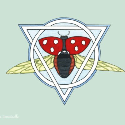 Affiche numérotée "Coccinelle demoiselle"