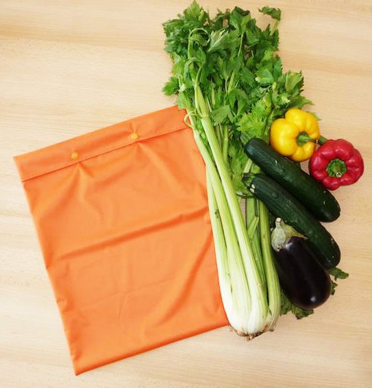 Sac congélation lavable et réutilisable ORANGINA (MEGA)