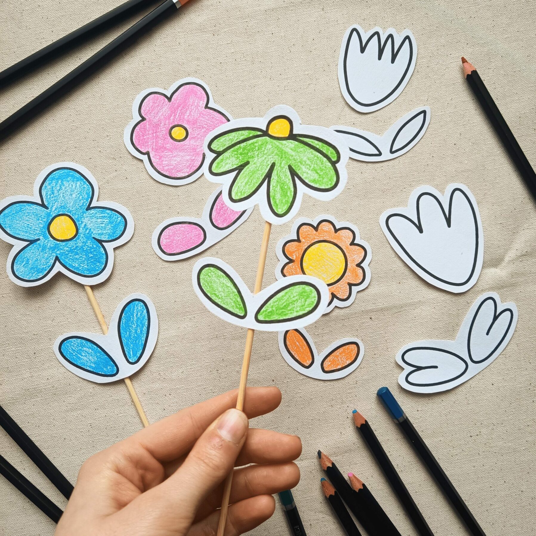 Fleurs à planter