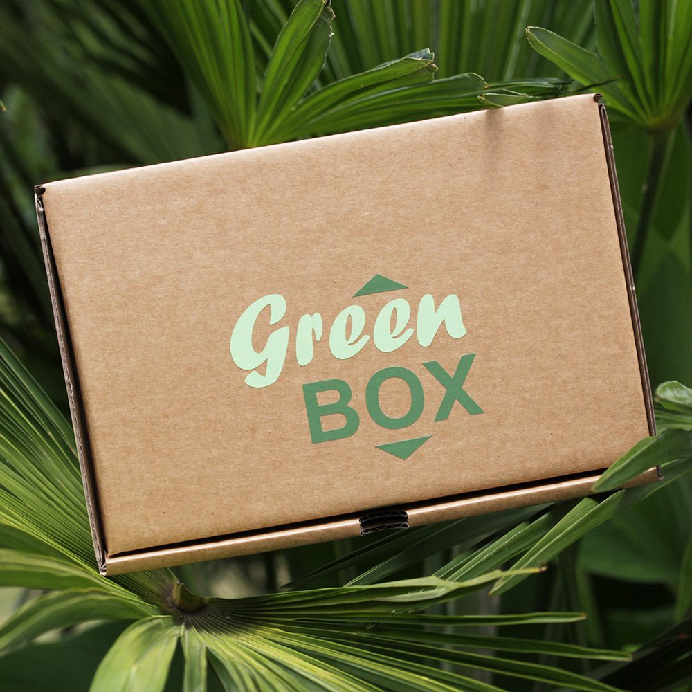 Le coffret Green Soin/Beauté – Image 2