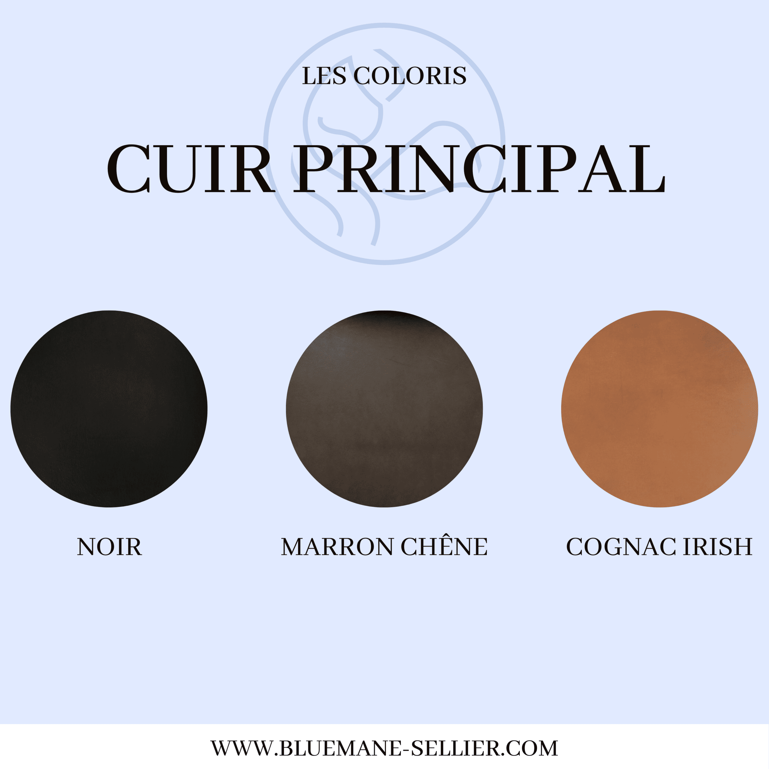 Collier en cuir tressé pour chien – Image 8