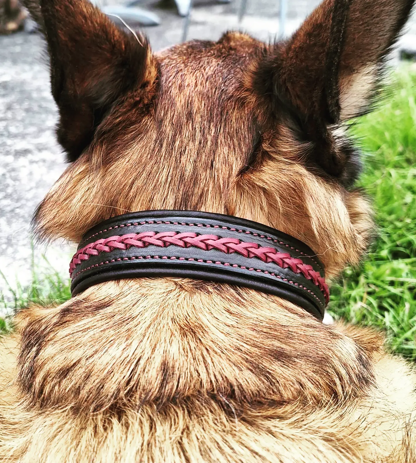 Collier en cuir tressé pour chien – Image 2