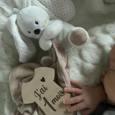 Carte étape Bébé Forme bodies