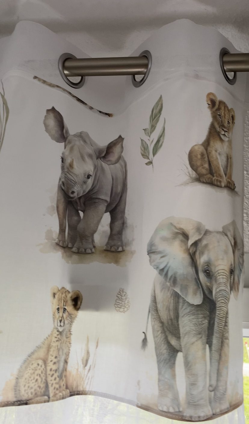 RIDEAU - Animaux de la savane VIERAN – Image 3