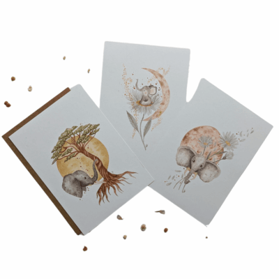CARTES RE-NAISSANCE FAMILLE