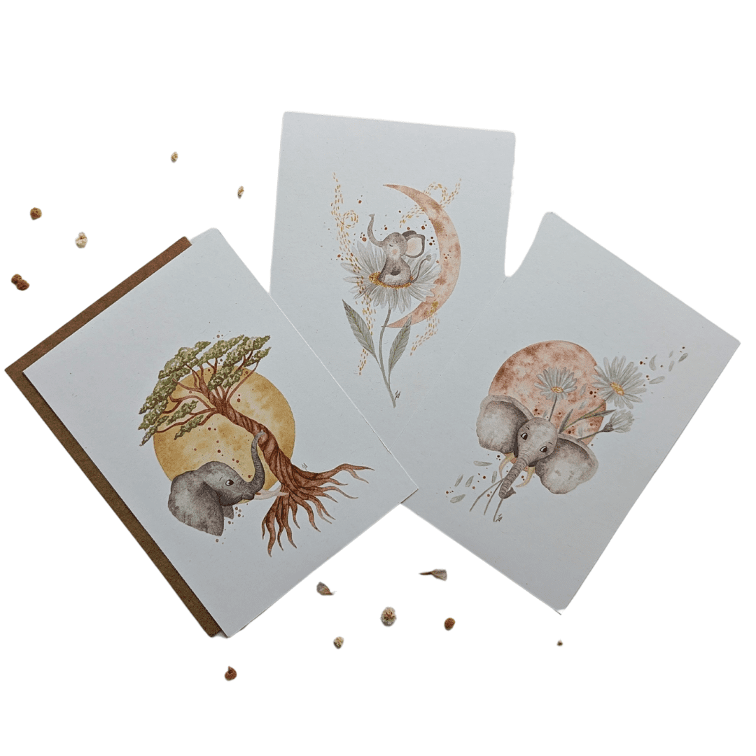 CARTES RE-NAISSANCE FAMILLE