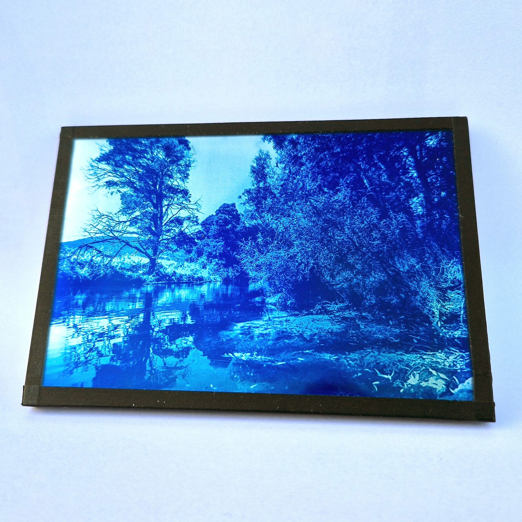 Cyanotype sur Verre - Australia – Image 2