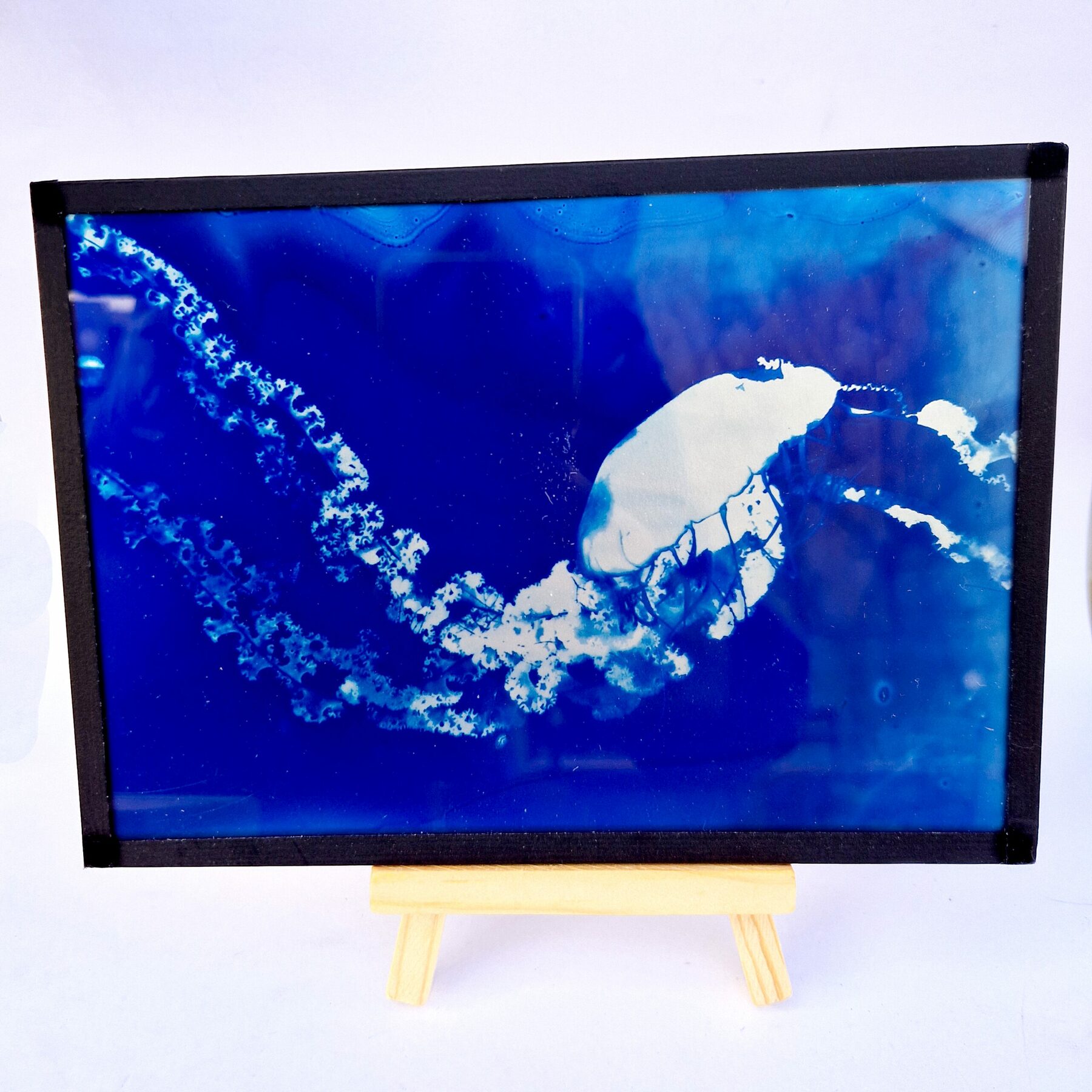 Cyanotype sur Verre - Méduse 09