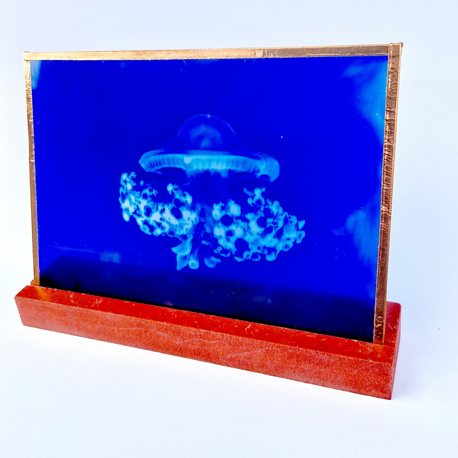 Cyanotype sur Verre - Méduse 02 – Image 2