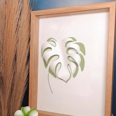 Monstera