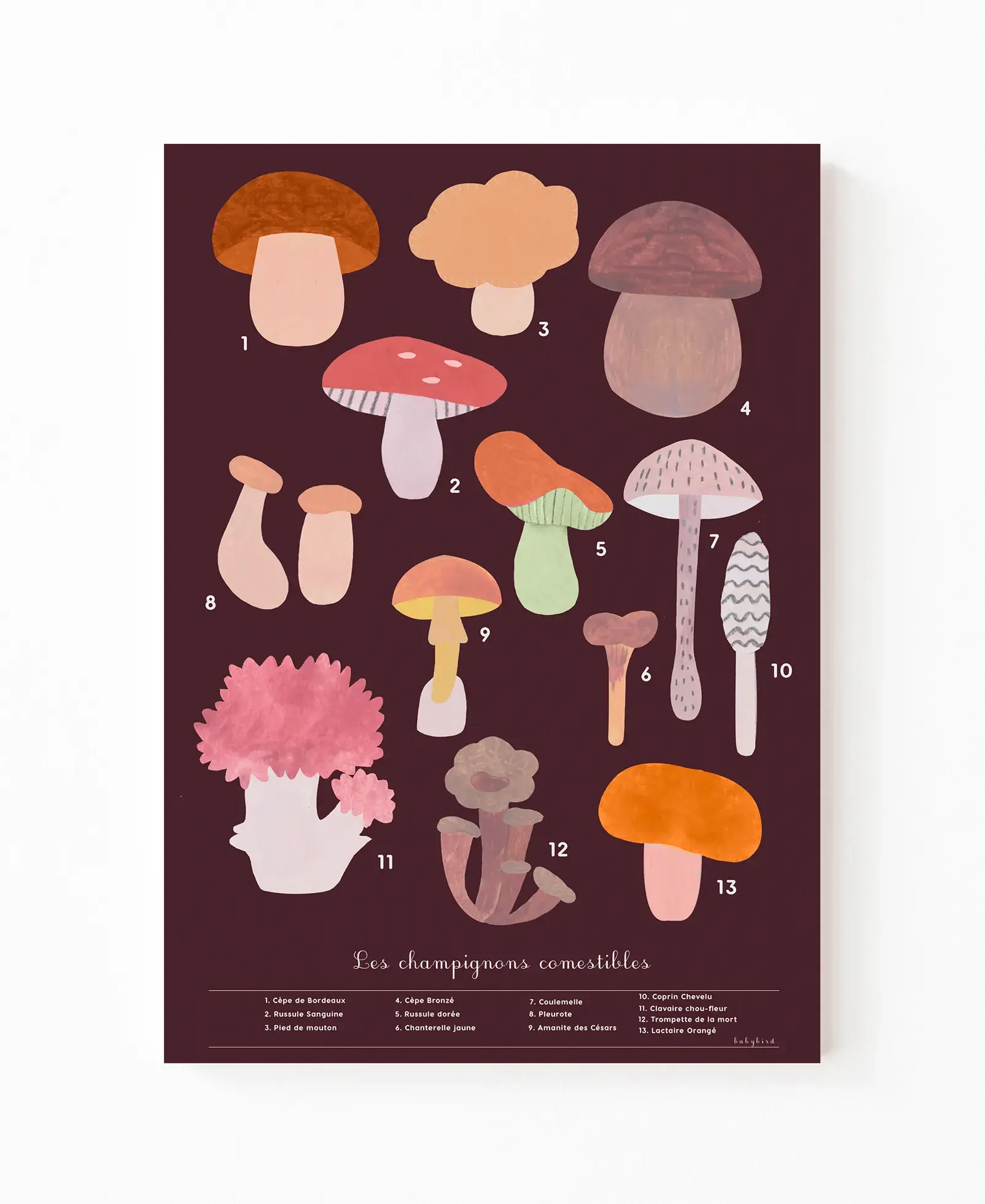 Affiche champignons comestibles, affiche automne – Image 2