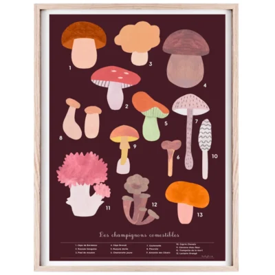 Affiche champignons comestibles, affiche automne