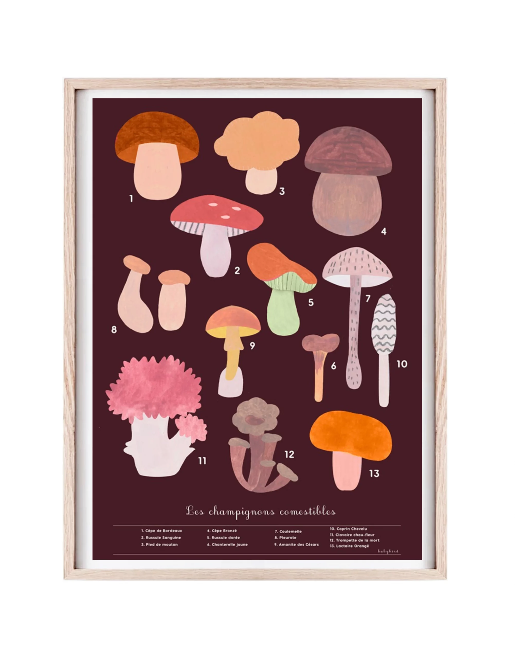 Affiche champignons comestibles, affiche automne