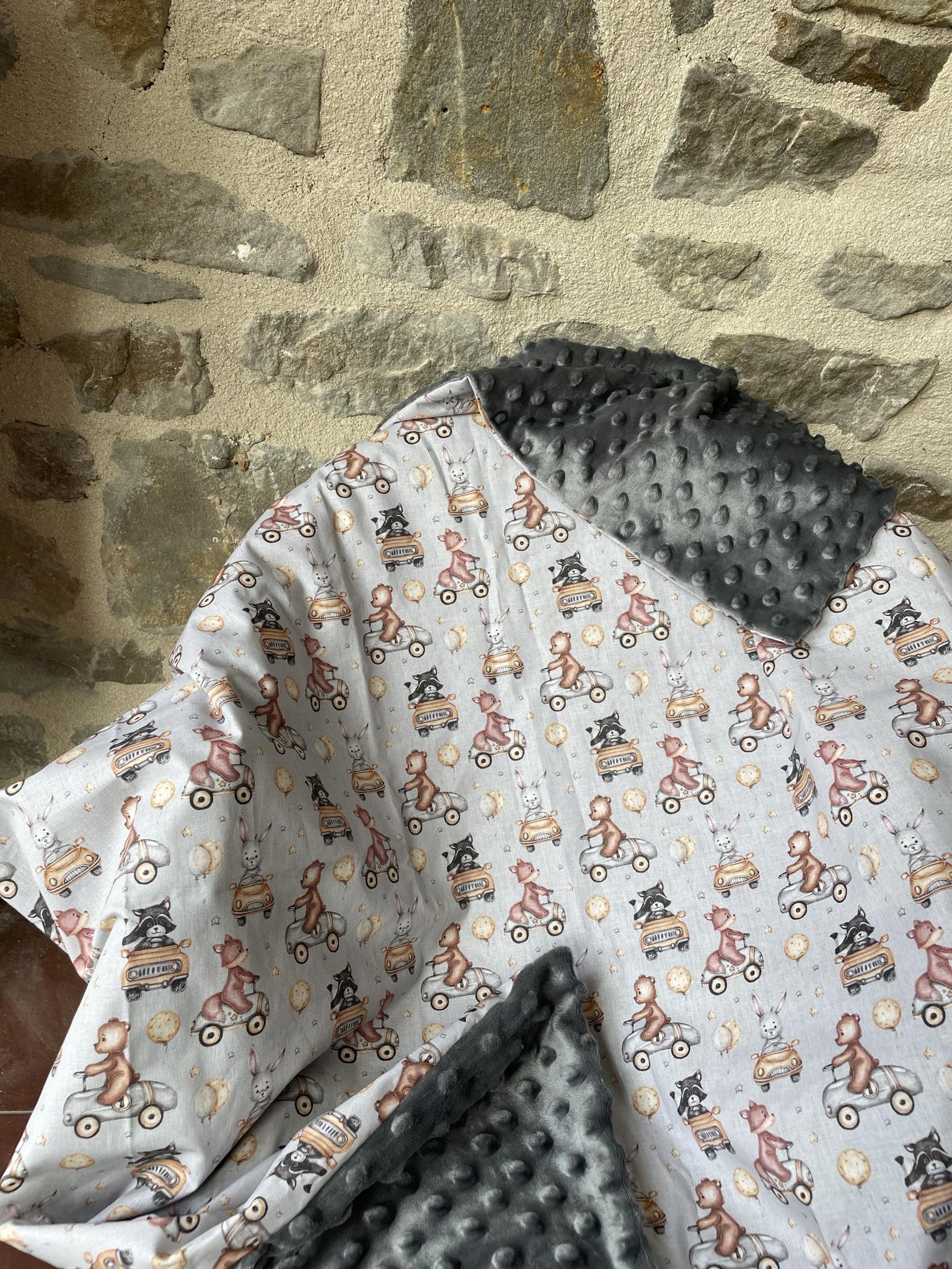 PLAID - Véhicules – Image 2