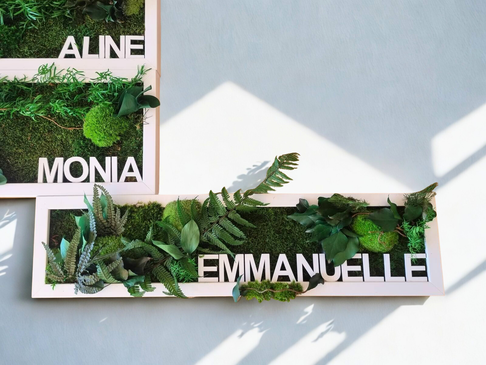 Biosphère – Tableau végétal en plantes stabilisées – Image 2