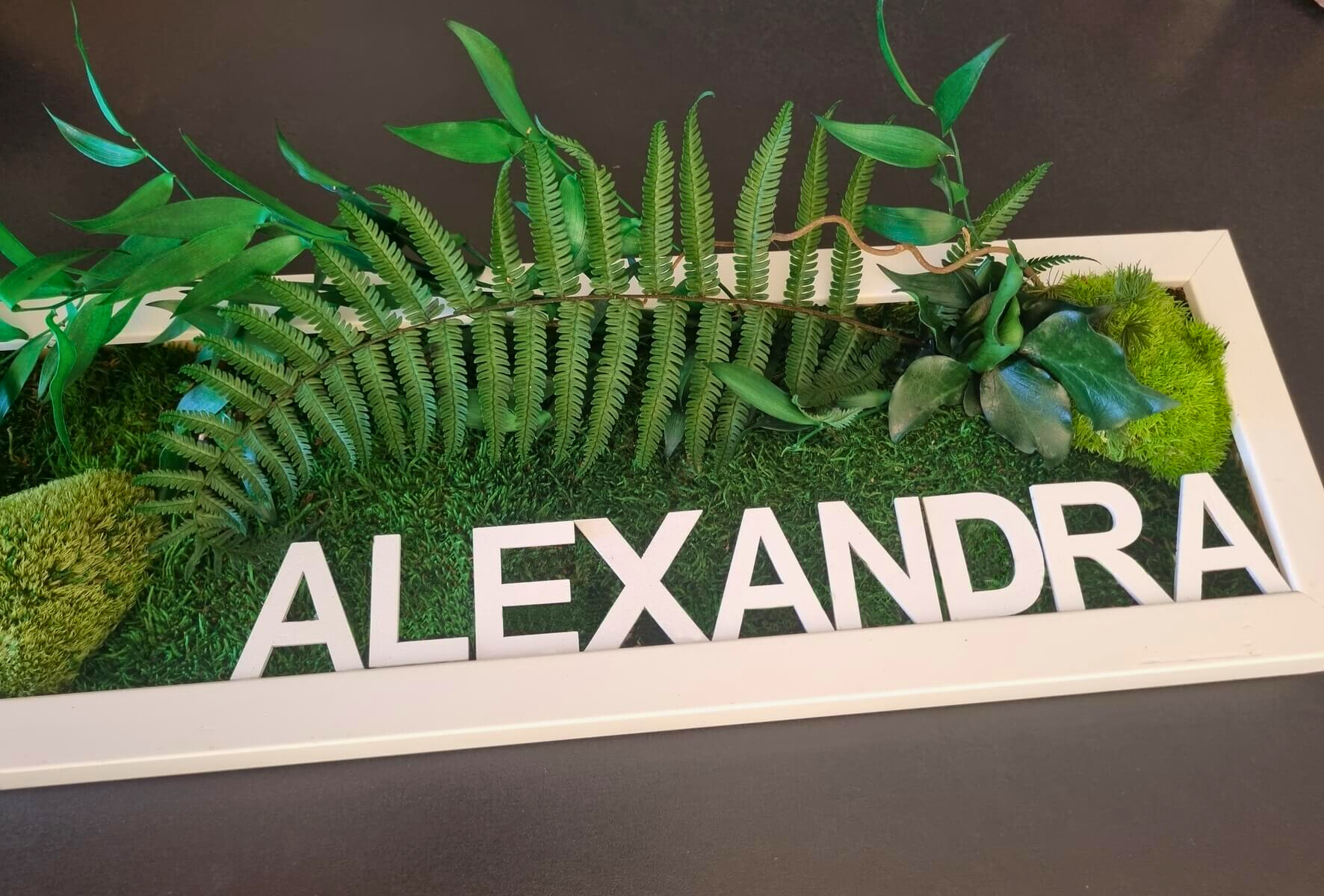 Biosphère – Tableau végétal en plantes stabilisées – Image 3