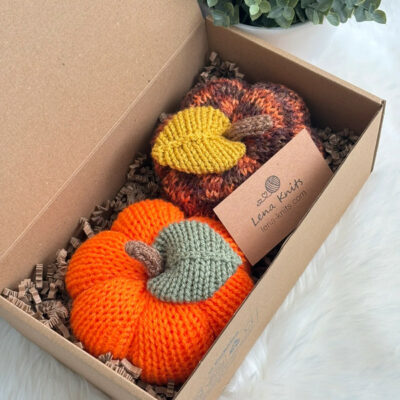 Citrouilles (lot de 2)