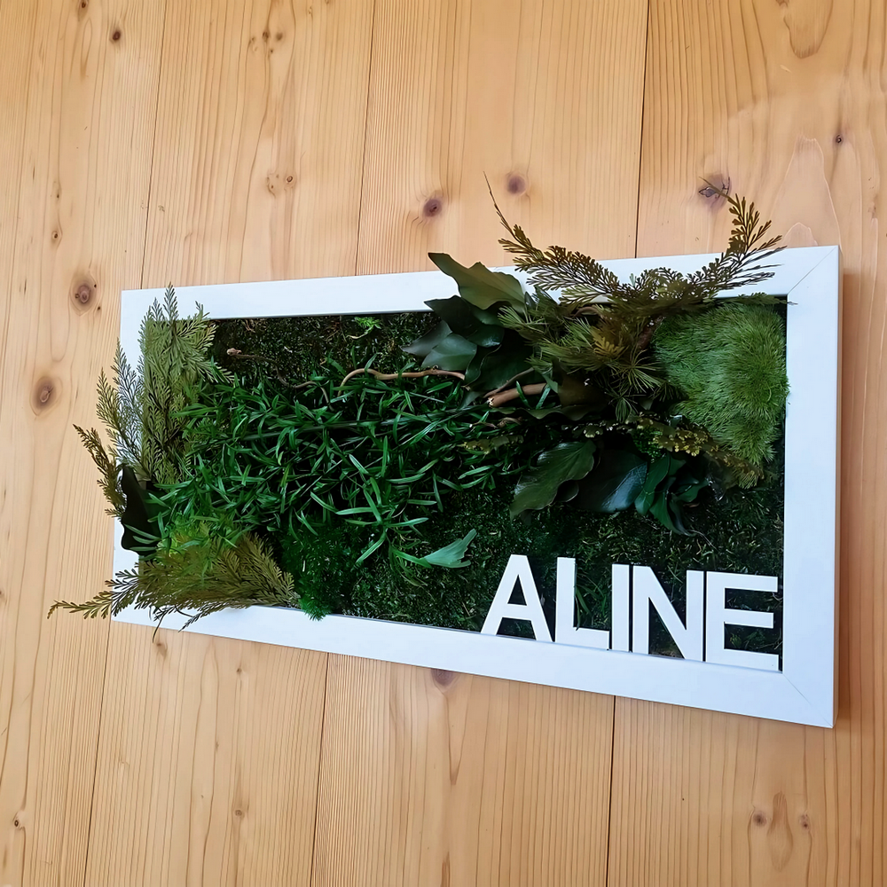 Biosphère – Tableau végétal en plantes stabilisées – Image 4