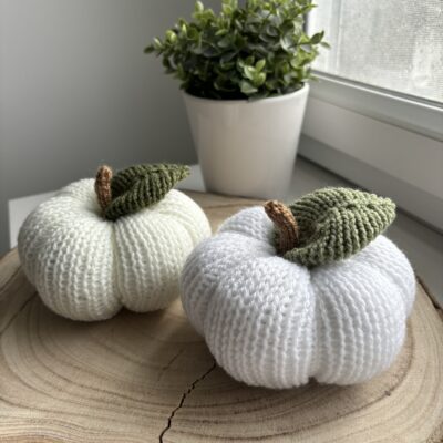 Citrouilles (lot de 2)