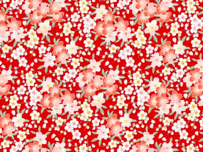 Bouillotte cervicale sèche déhoussable, grains de blé ou graines de lin BIO (Motifs 8) – Image 5