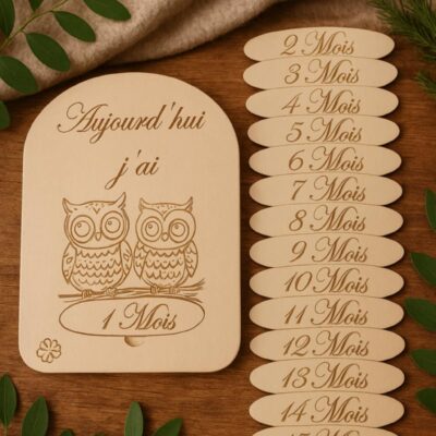 cartes étapes hiboux