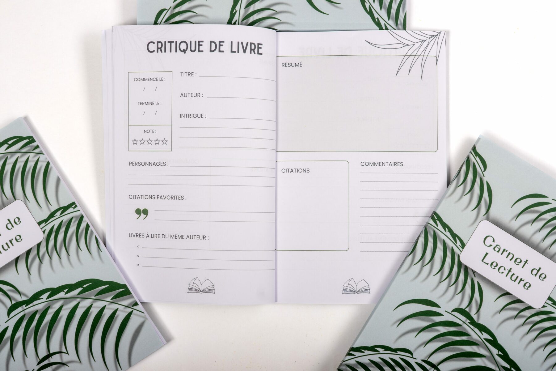 intérieur carnet de lecture a feuille de palmier
