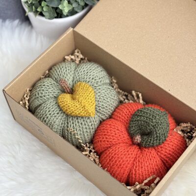 Citrouilles (lot de 2)