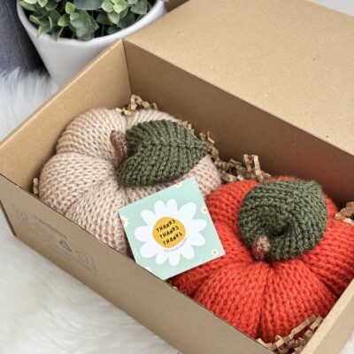 Citrouilles (lot de 2)