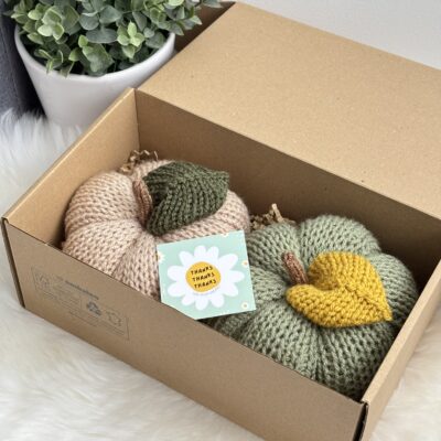 Citrouilles (lot de 2)