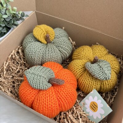 Citrouilles (lot de 3)