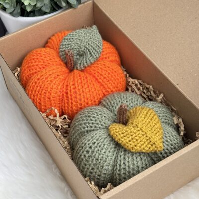 Citrouilles (lot de 2)