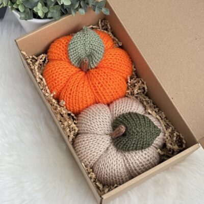 Citrouilles (lot de 2)