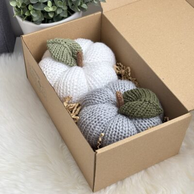 Citrouilles (lot de 2)