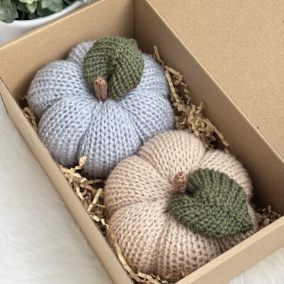 Citrouilles (lot de 2)