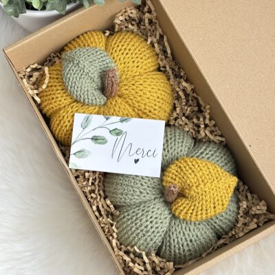 Citrouilles (lot de 2)