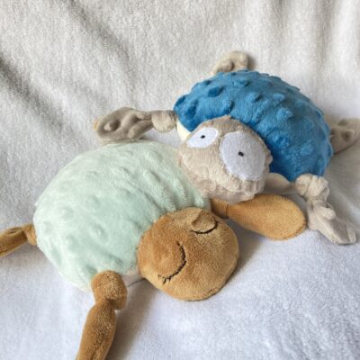 doudou lulu la tortue