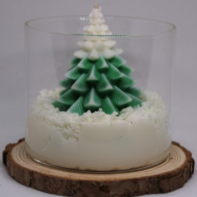 Sapin Neigeux