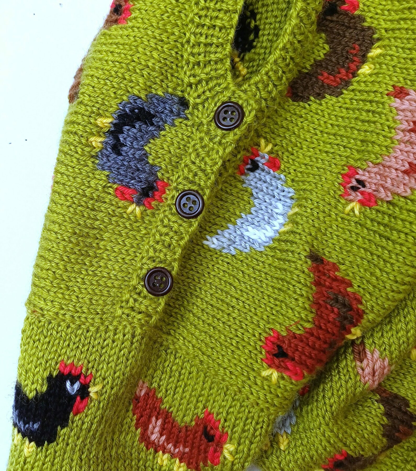 Pull tricot avec des poules, pour bébé 1 an – Image 6