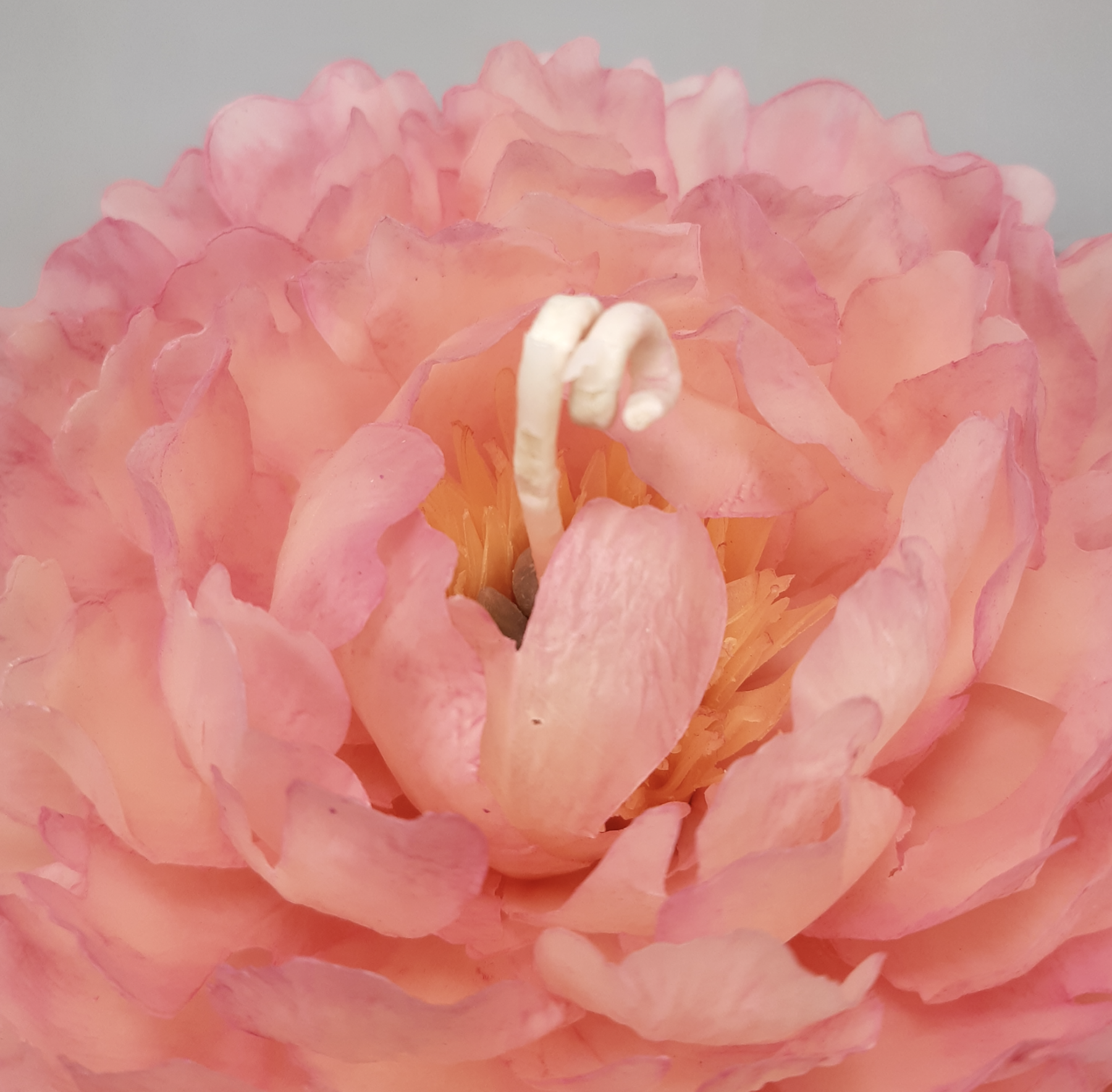 Bougie Pivoine en Cire d’Abeille – Sculptée à la Main – Image 10