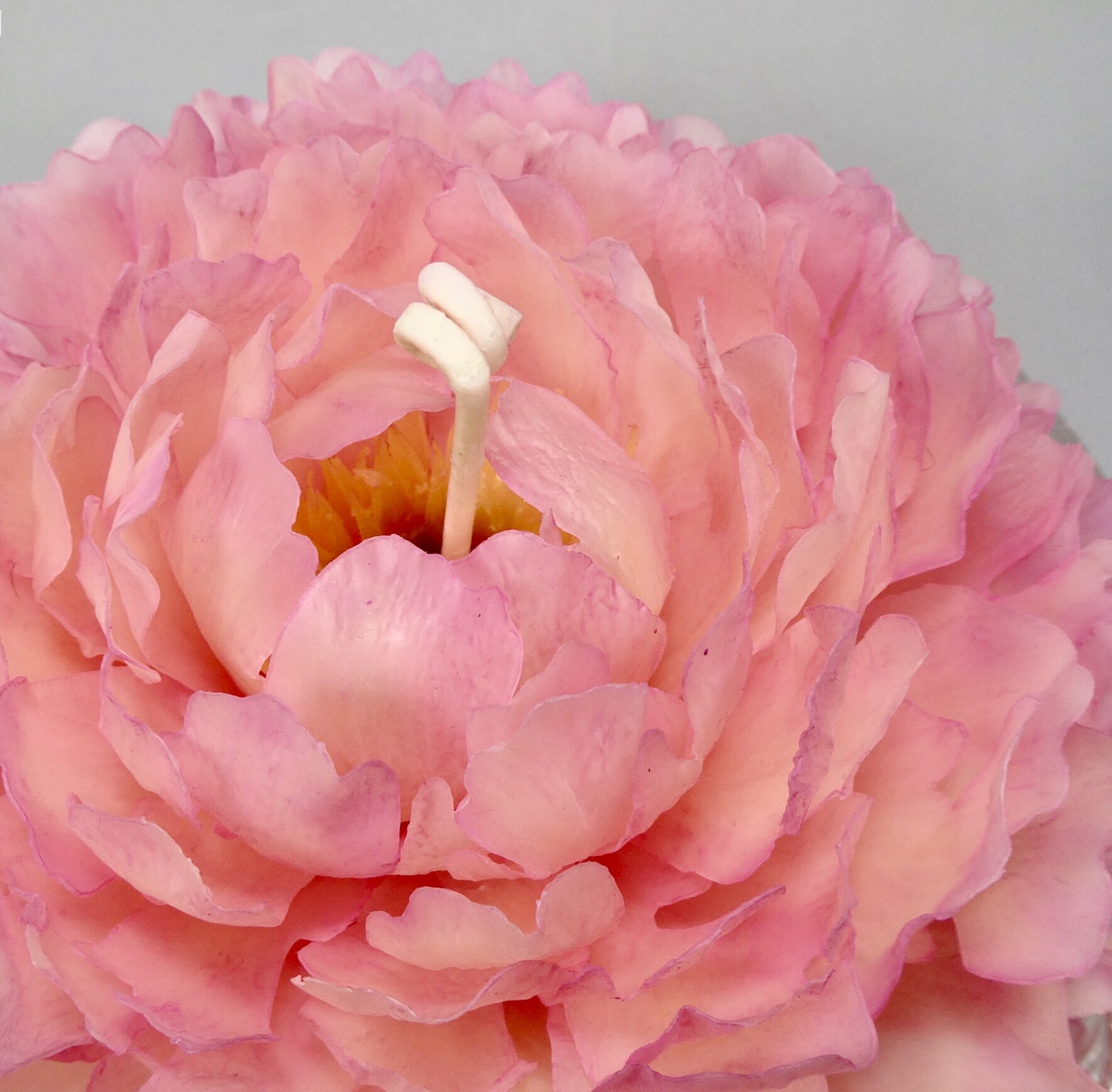 Bougie Pivoine en Cire d’Abeille – Sculptée à la Main – Image 8