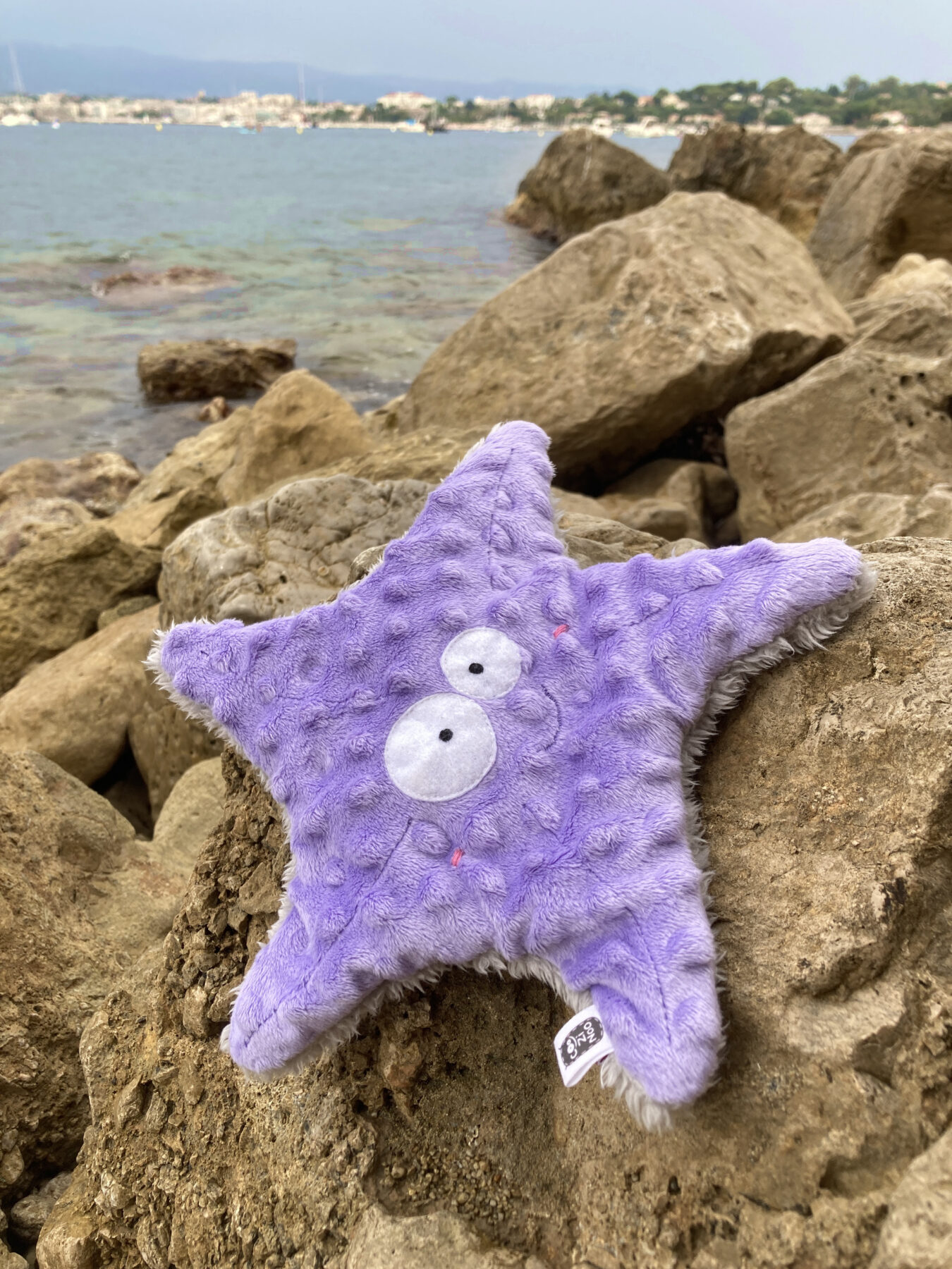 doudou plat étoile